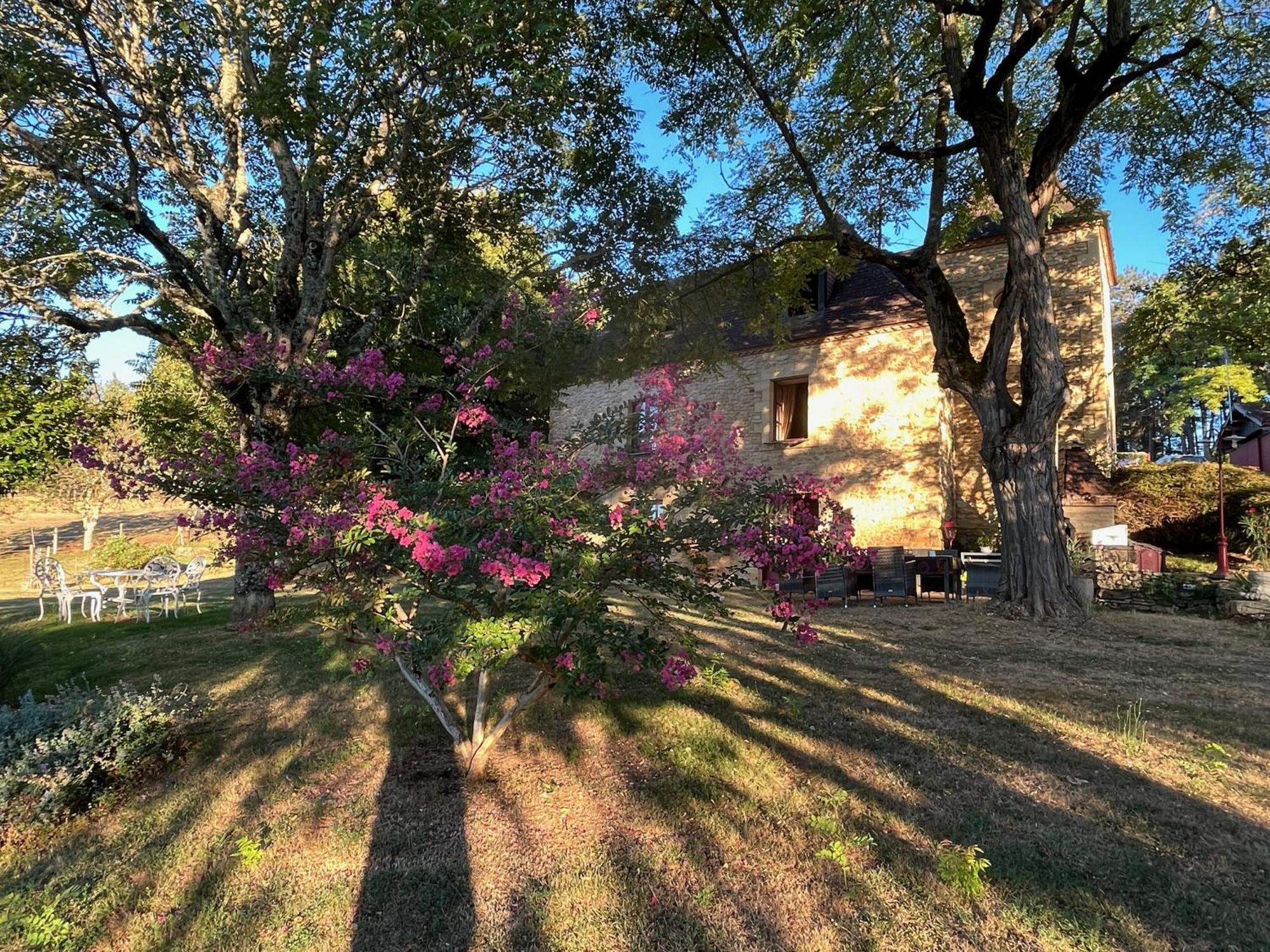 Roquebrune Saint-Alvère 外观 照片